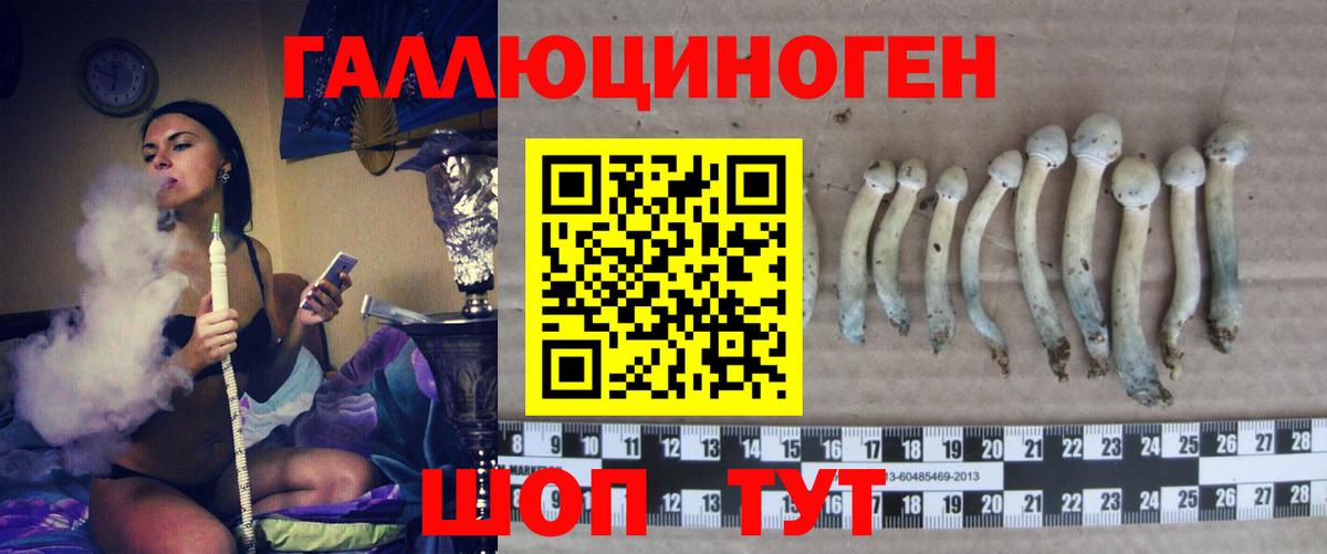 даркнет сайт  Вход с VPN  Гагарин  Псилоцибиновые грибы Psilocybine cubensis 
