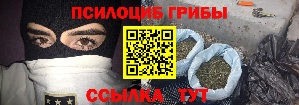 Галлюциногенные грибы Psilocybine cubensis Гагарин