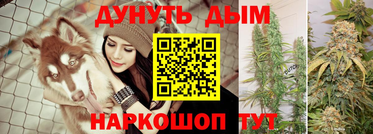 Марихуана Bruce Banner  Вход с VPN  Шишки марихуана THC 21%  Гагарин  Бошки марихуана THC 21% 